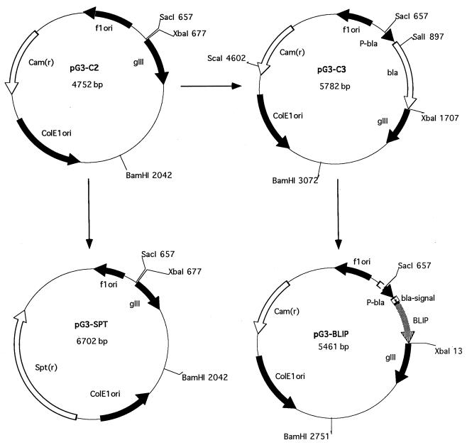 FIG. 1