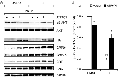 FIG. 8.