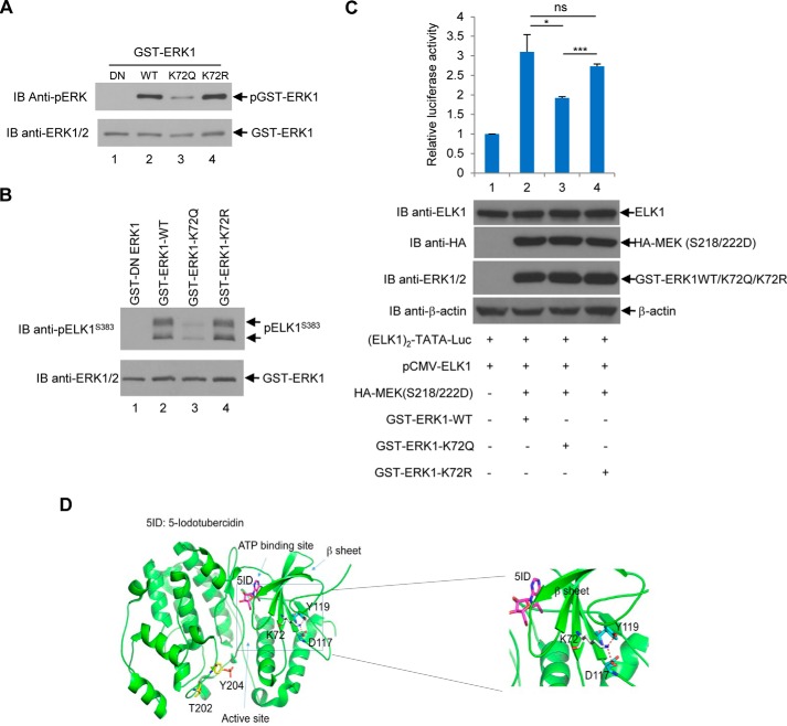 Figure 12.