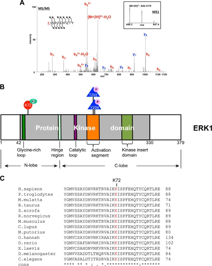 Figure 11.