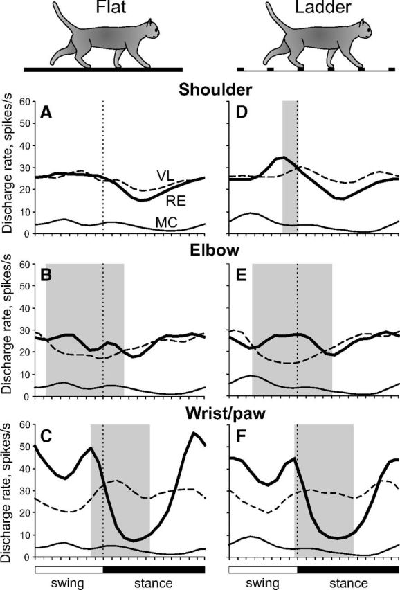 Figure 11.