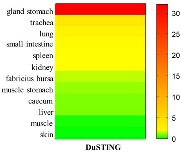 Figure 6