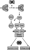 FIG. 6.