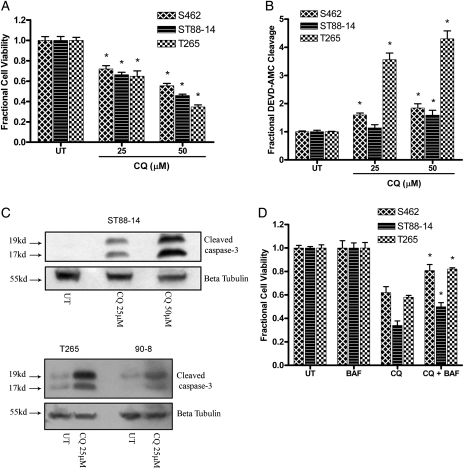 Fig. 4.