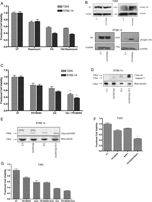 Fig. 6.