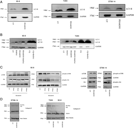 Fig. 2.