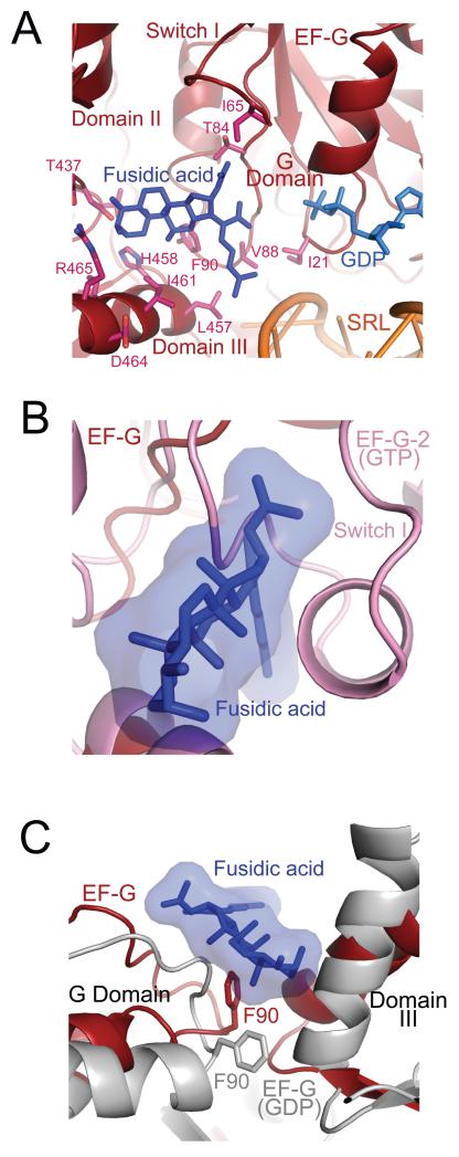 Figure 5