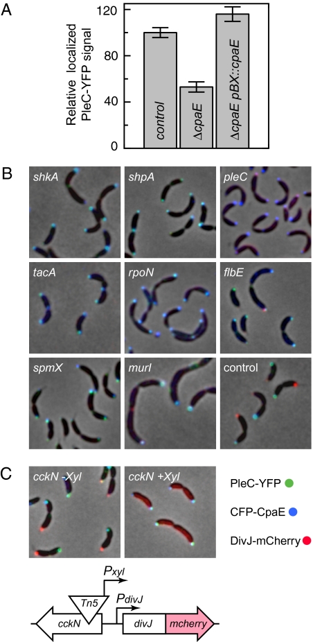 Fig. 4.