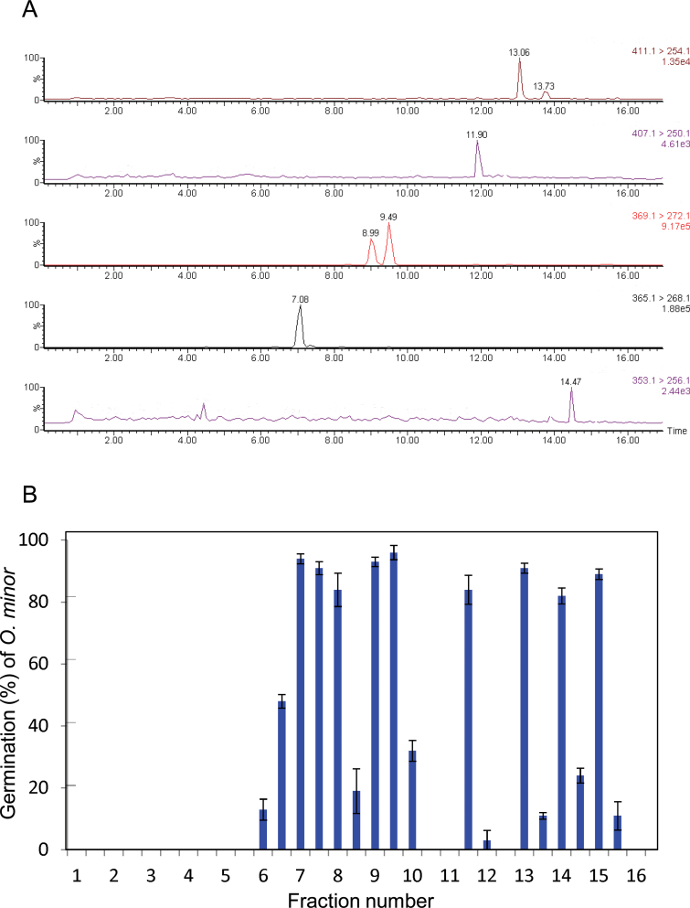 Figure 5. 