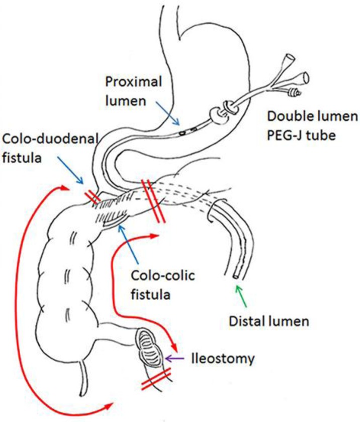 Fig. 3