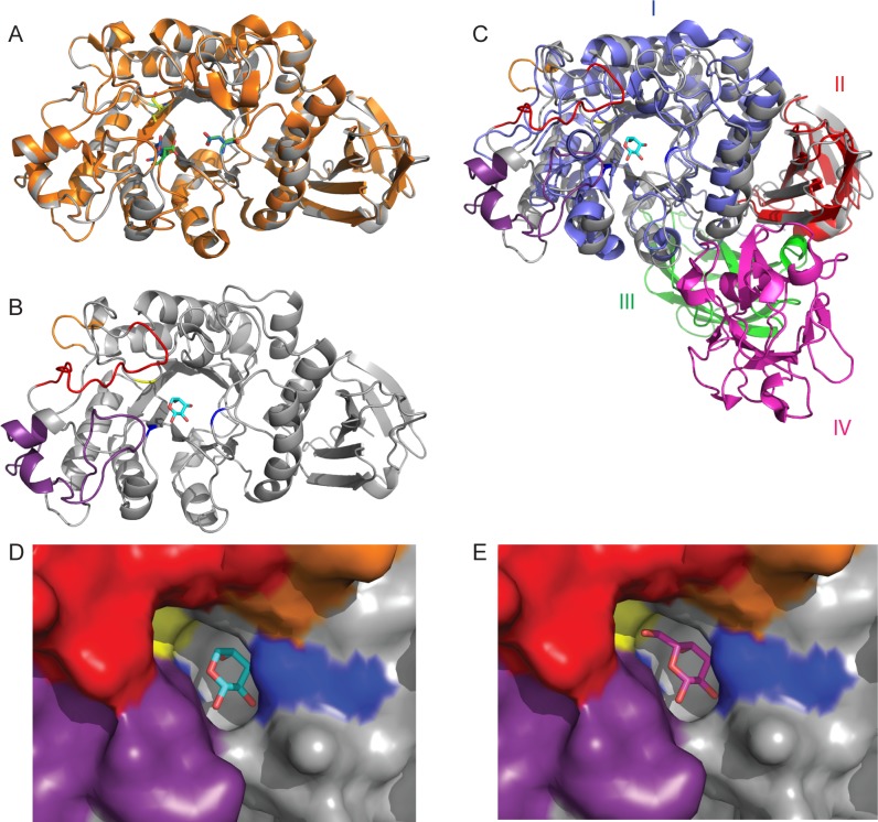 Fig 6