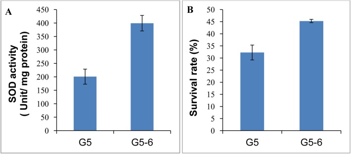 Fig 5