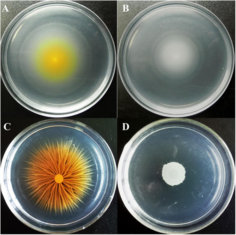 Fig 3