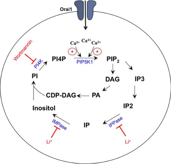 FIGURE 9.