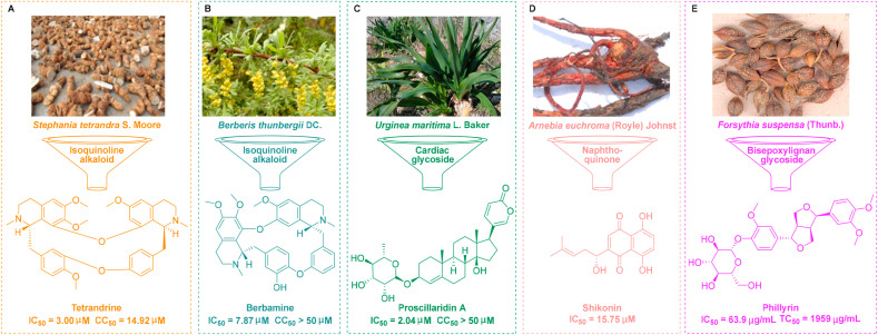 Fig. 2