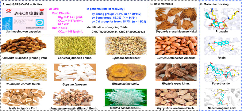 Fig. 8