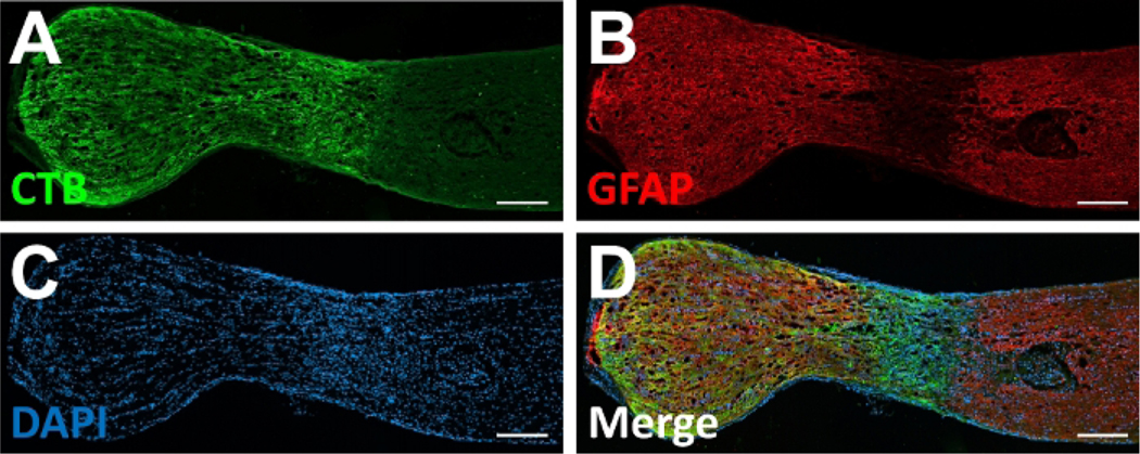 Figure 4: