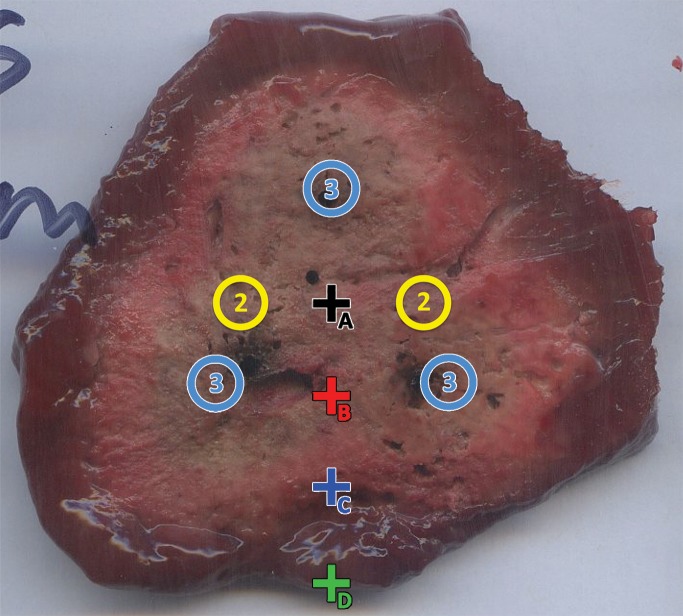 Figure 2: