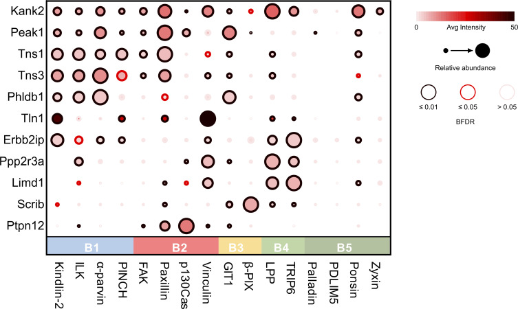 Figure 5.