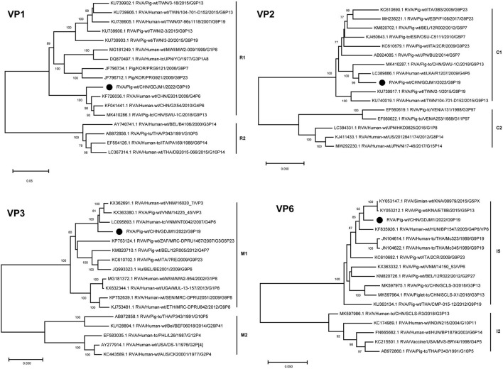 Figure 2