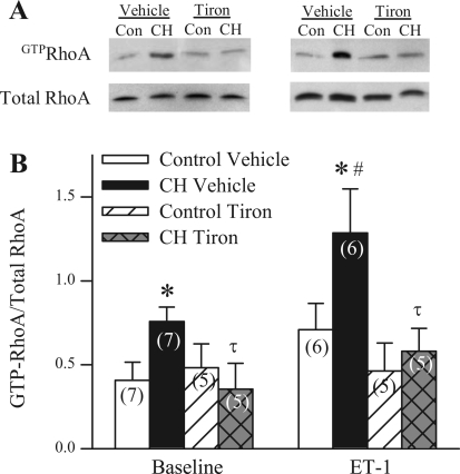 Fig. 11.