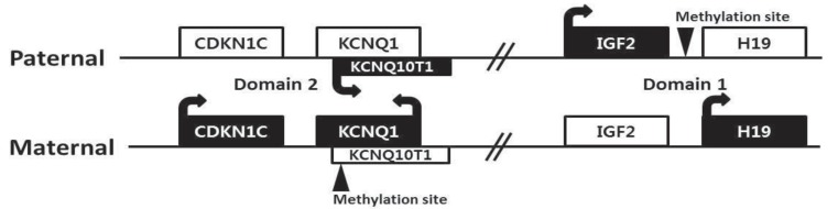 Fig. 2