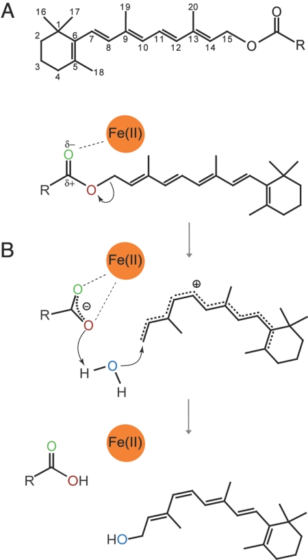 Fig. 5.