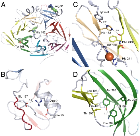 Fig. 6.