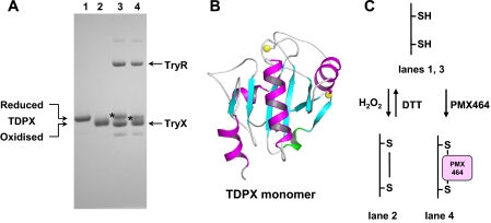 FIGURE 7.