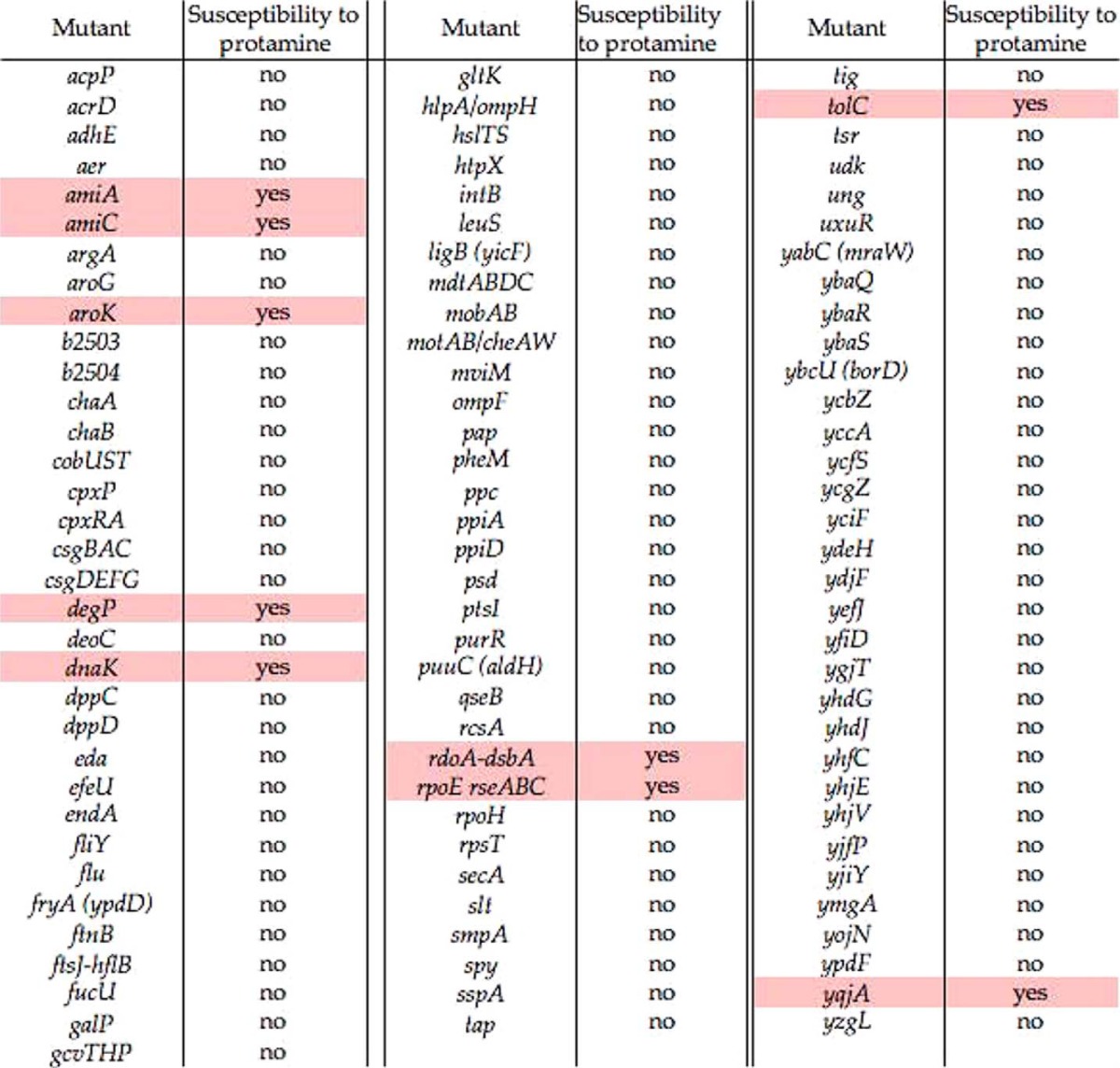 graphic file with name zbc051140195t002.jpg