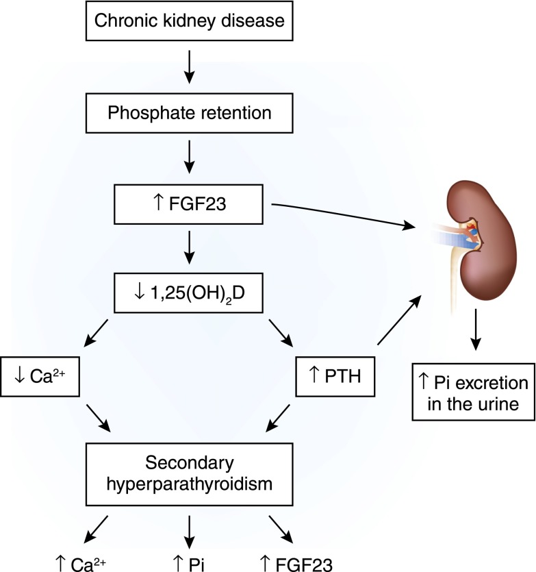 Figure 9.