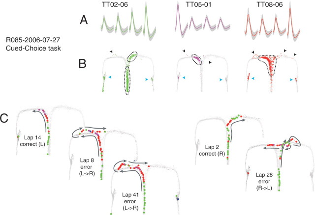 Figure 10.