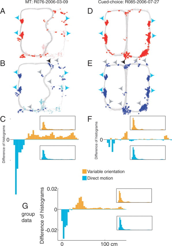 Figure 13.