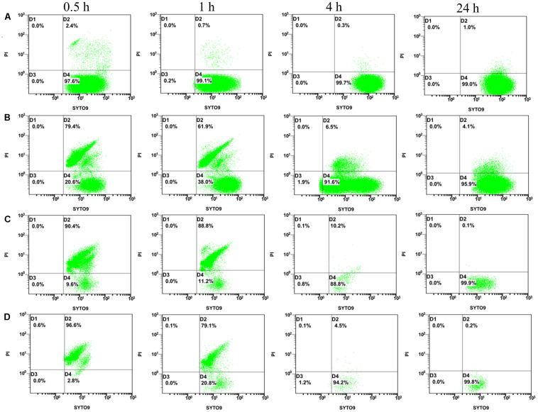 FIGURE 3