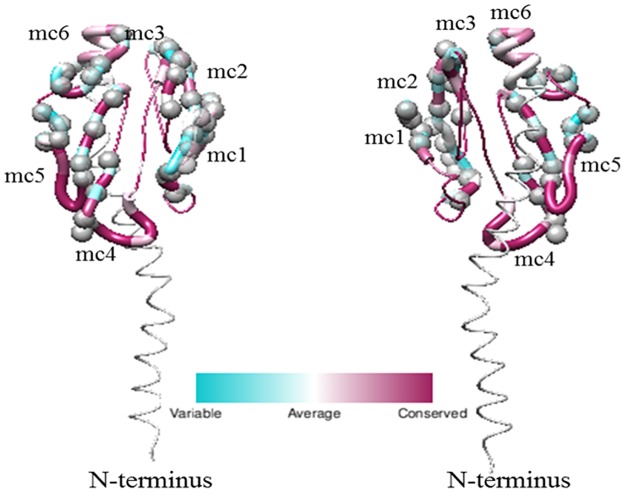 Fig 9