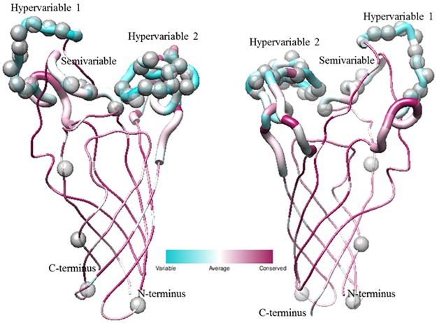 Fig 8