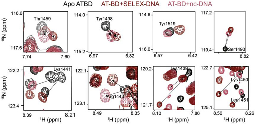 Figure 3.