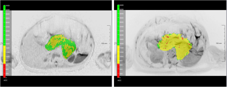 Fig. 6