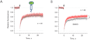 Figure 5—figure supplement 1.