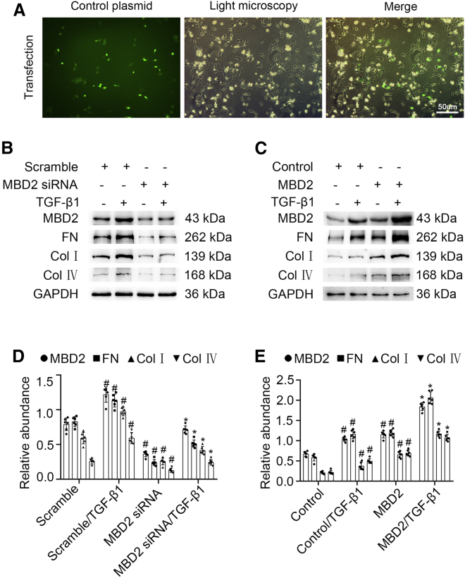 Figure 2