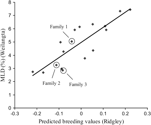 Figure 3.—