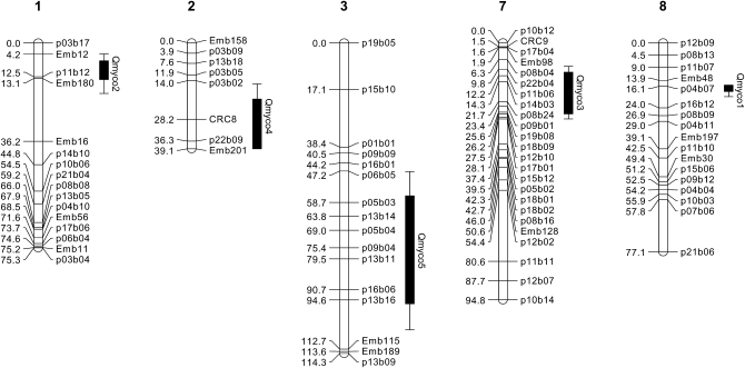 Figure 4.—