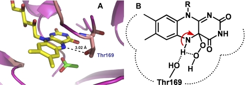 FIGURE 9.