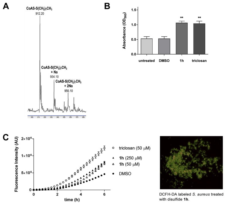 Fig. 10