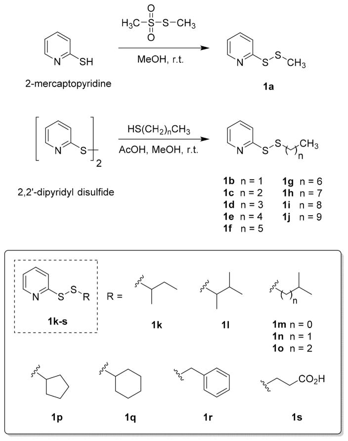 Scheme 1