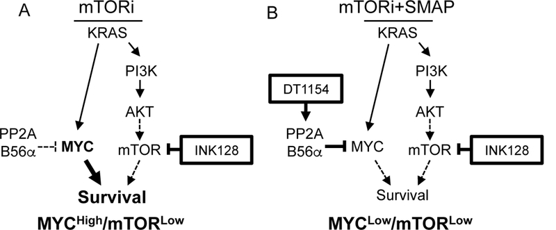 Fig. 6: