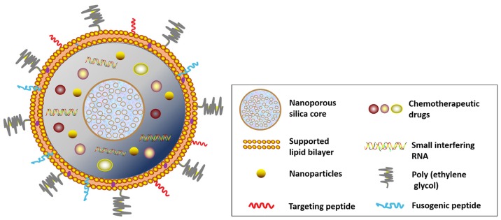 Figure 3.