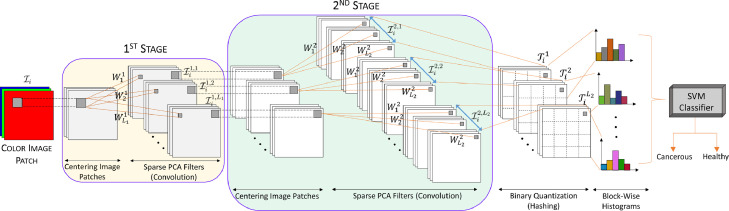 Fig. 2