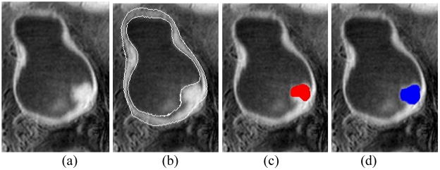 Fig. 8