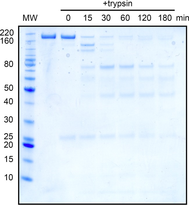 FIG 2